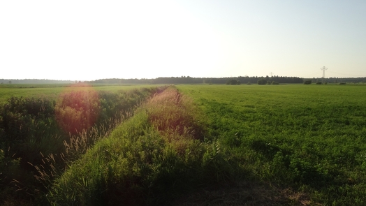 #1: #01 view direction north west, to the CP 46N-72W, from 460 m