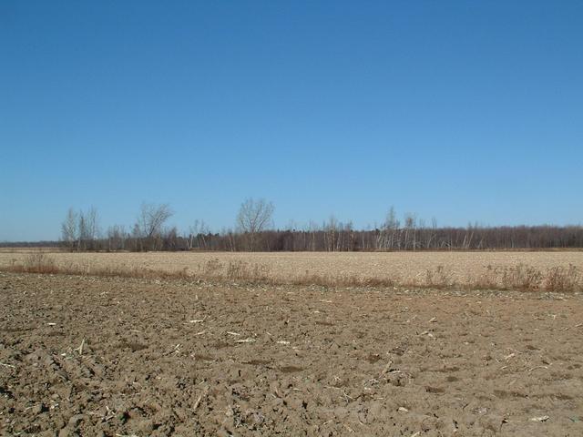 vers le nord magnétique / magnetic north
