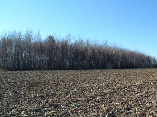 vers l'ouest magnétique / magnetic west