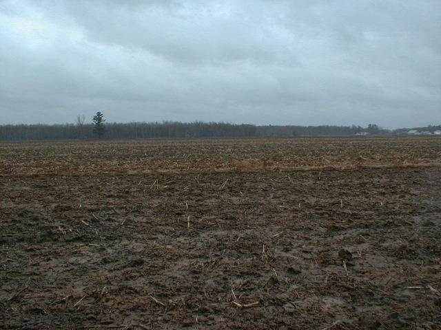 Vue vers le nord / View to the North