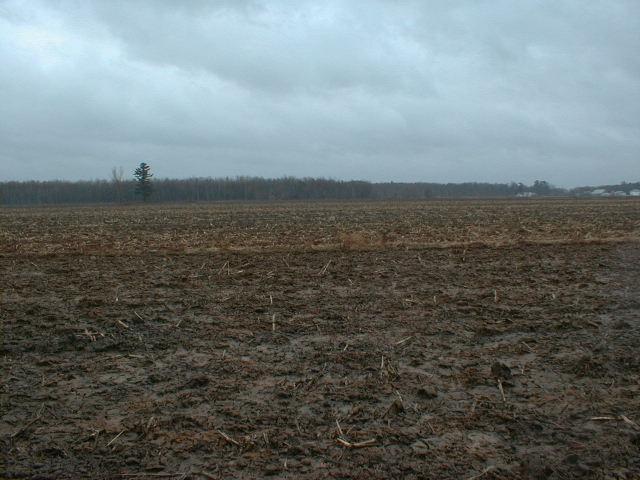 Vue vers le nord / View to the North