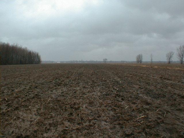 Vue vers l'ouest / View to the West