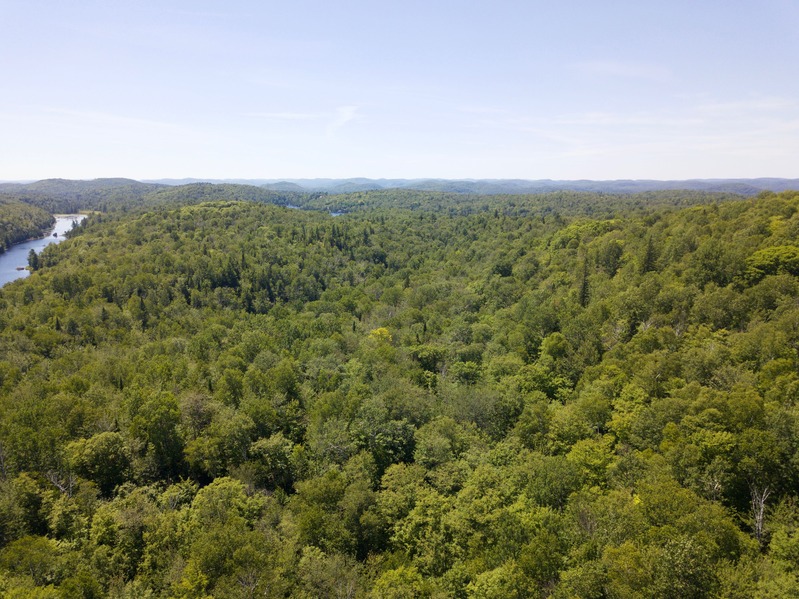 View West from 90 m above the point