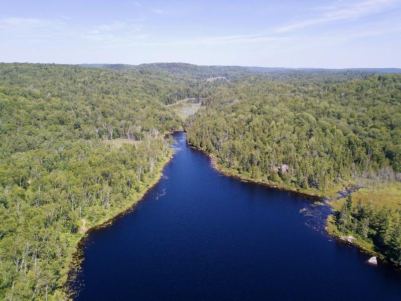 Looking long Lac Long towards the confluence point (near the left-center of this image) from about 700 m west