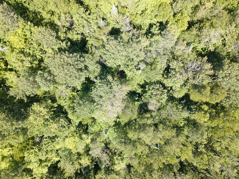 View of the confluence point from 90 m above