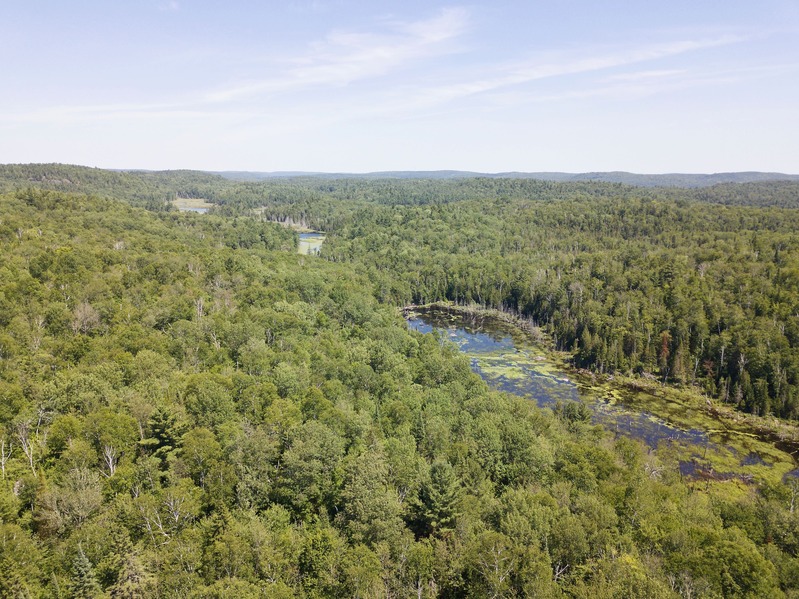 View East from 90 m above the point