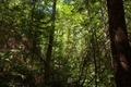 Visit #3: [20-Jul-18]