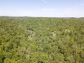 #8: View North from 90 m above the point
