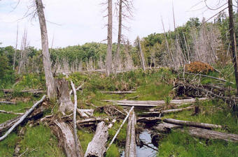 #1: Looking west from the confluence