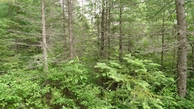 #3: #03 view to east