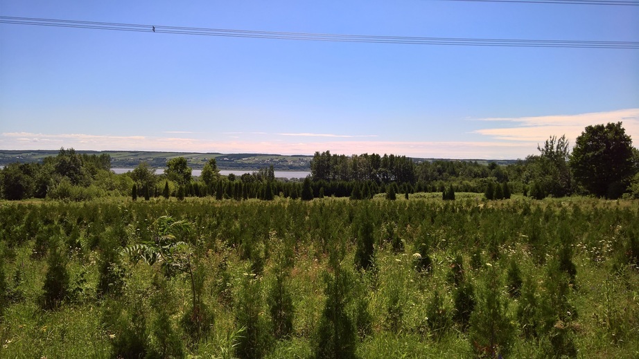 dcp-47-degrees-north-71-degrees-west-visit-3-all-pictures