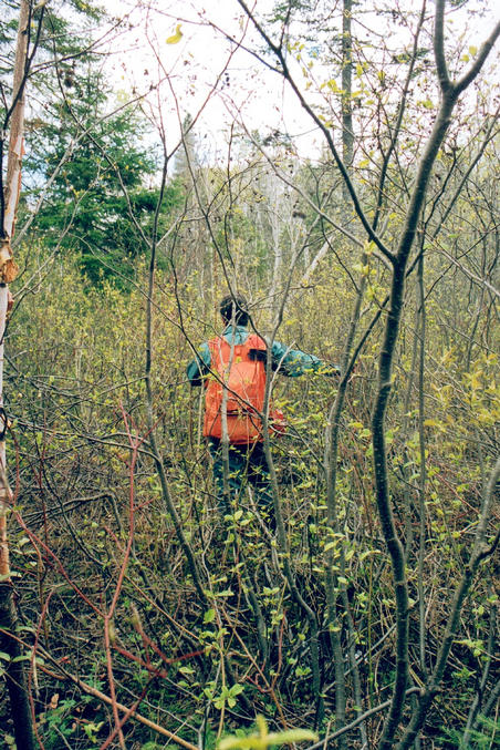 My brother (Jocelyn) in the dense woods