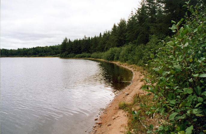 The beach (200m from the point)