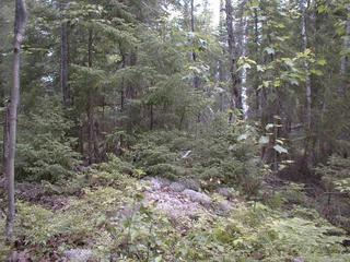 #1: Vue générale de la confluence / General view of the confluence point