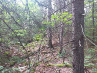 #3: looking south