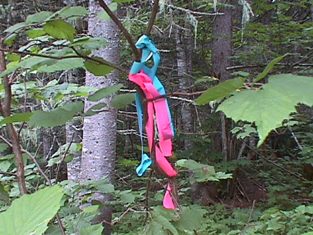 Ribbons marking the crossing of the two lines