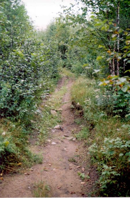 Le chemin prend parfois cette allure - The road sometimes takes this look