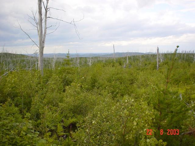 Panorama vers le nord - View towards north