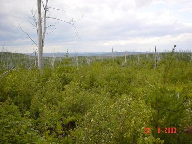 Panorama vers le nord - View towards north