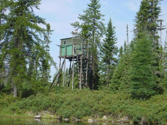 Moose observatory on Lake Choiseul'