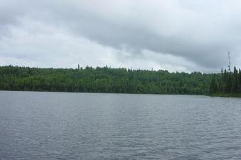 #1: This confluence is on the east side of Lake Moore