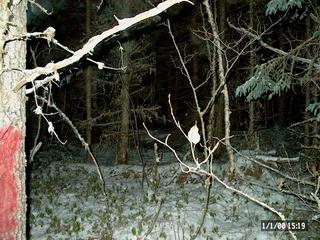 #1: Surrounding at the point 48N 77W (similar on all sides)