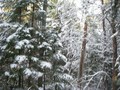 #3: Vue vers le nord / View to the North
