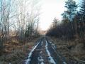 #8: Le sentier vers la confluence / The trail going to the confluence