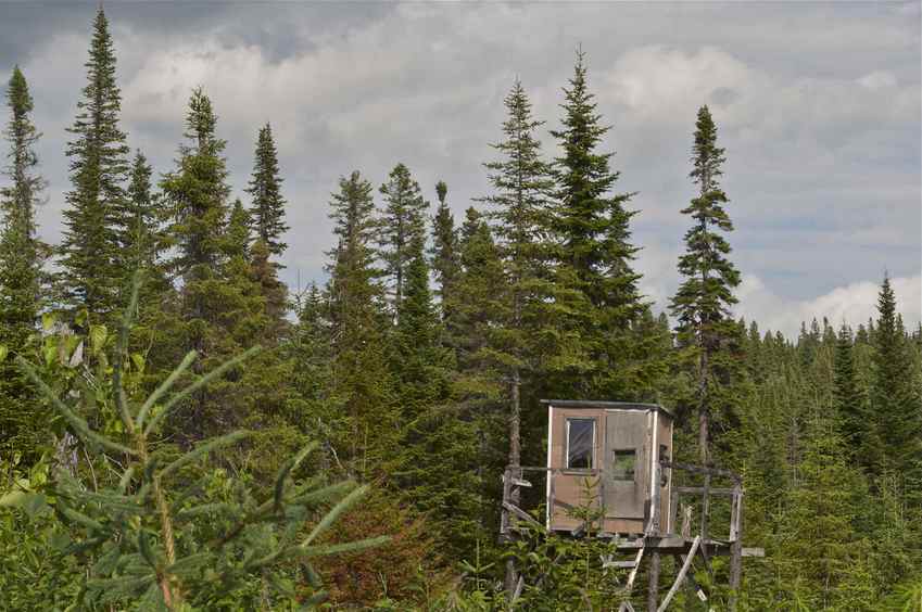 A hunting hut, just 100 metres or so from the confluence point