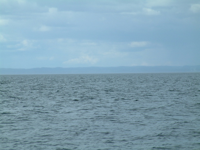 North view.
