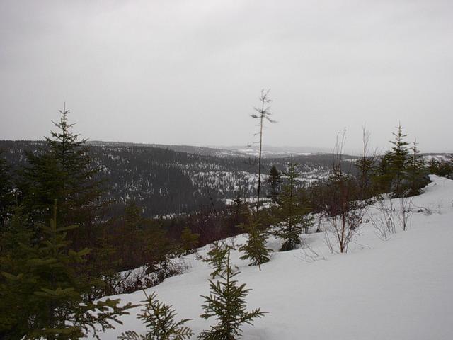 View from top of the Mountain North