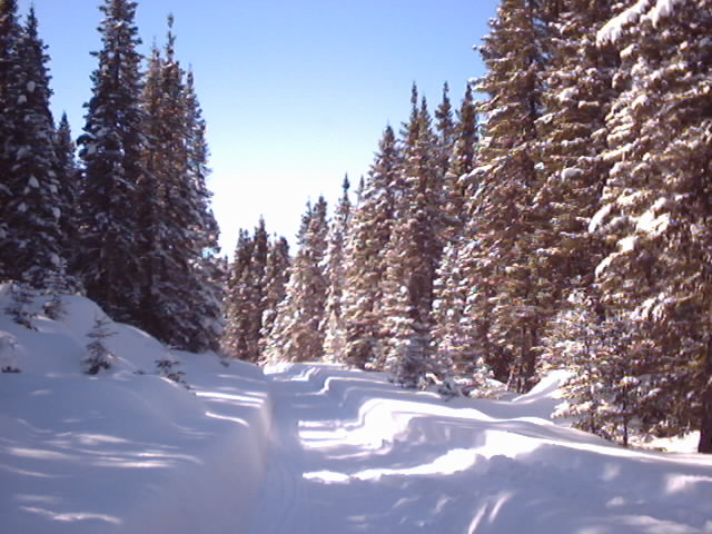 Le sentier a 1.45 km au SE du confluent - The trail, 1.45km SE of the confluence