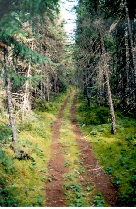 Le sentier de VTT - ATV trail