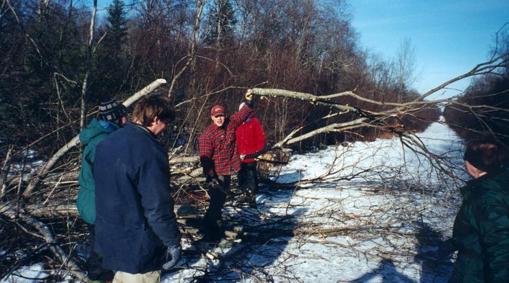 Making our way through fallen trees