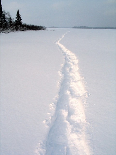 Vue du Lac Turgeon