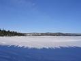 #10: Bassin le matin / Pond in the morning