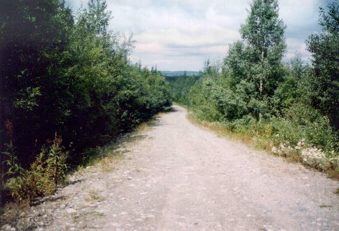 Le chemin pour se rendre à la confluence - Road to the spot