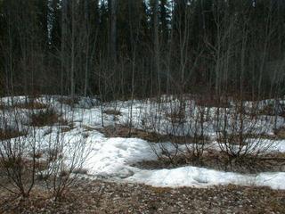 #1:  Vue générale de la confluence / General view of the confluence point