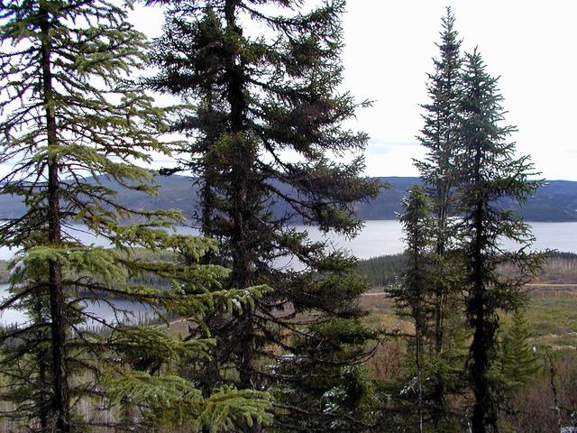 View East from Confluence - Ste Marguerite Resevoir