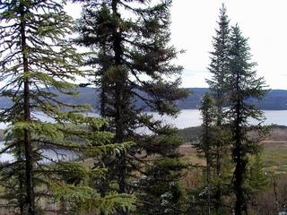 #1: View East from Confluence - Ste Marguerite Resevoir