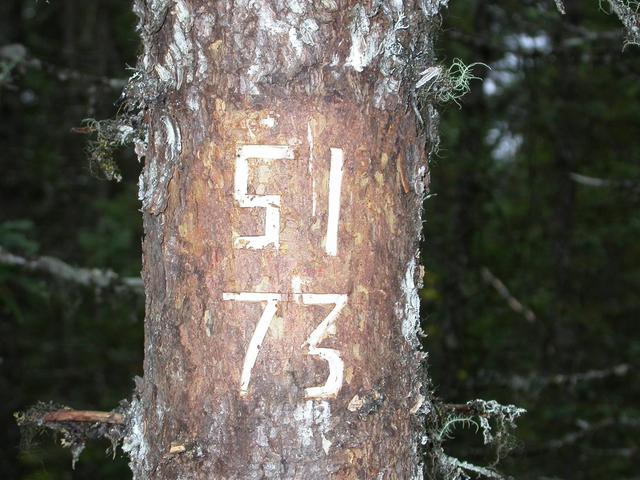 La marque de notre passage au point de confluence