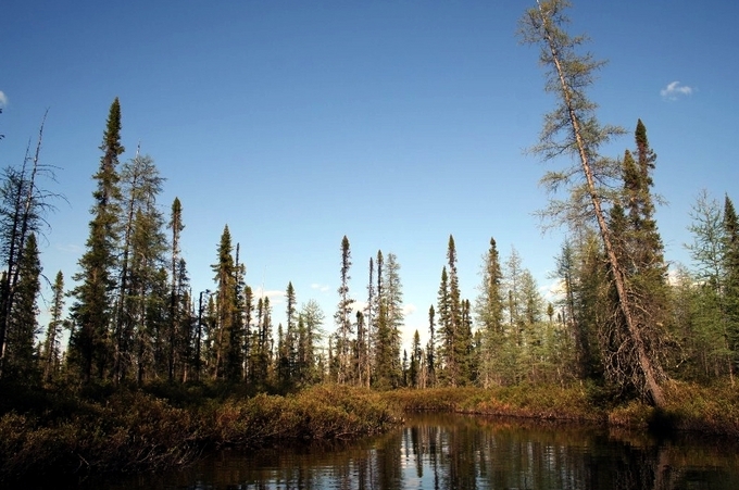 Type de terrain qui nous a empêché d'atteindre le point / Type of land and vegetation near the point