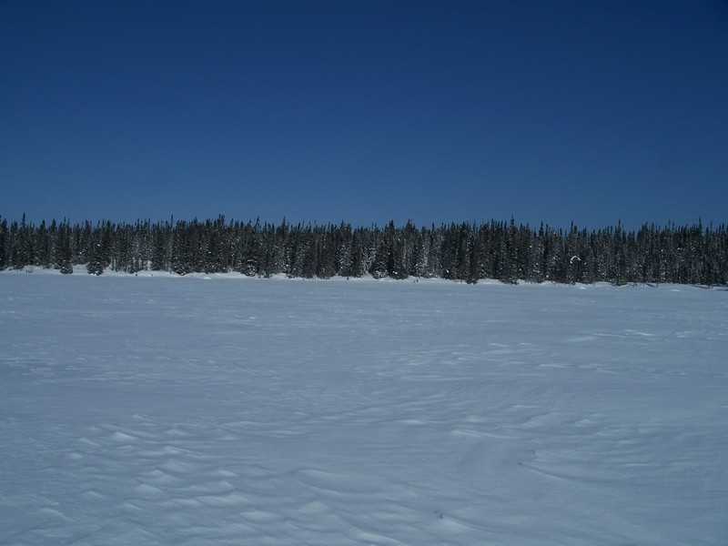 Vue vers le nord / View to the North