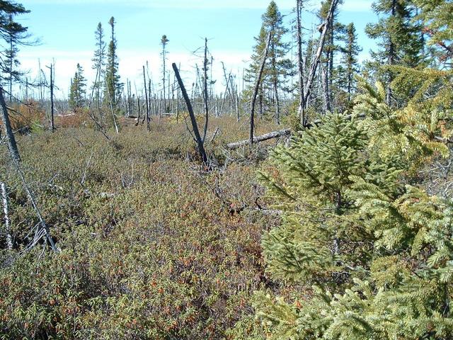 Vue du point vers l'Ouest - View toward West from the point