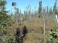 #3: Vue du point vers le Nord - View toward North from the point