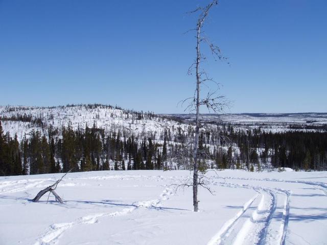 View towards the East - Vue vers l'Est