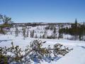 #2: View towards the North - Vue vers le Nord