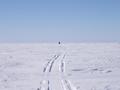 #6: Andre walsh on his snowmobile heading toward the confluence - André Walsh sur sa motoneige en direction de la confluence