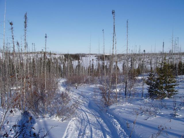 Sentier utilisé par des amérindiens de la Nation Crie vers le Nord / Path used by the Cree Nation towards the North