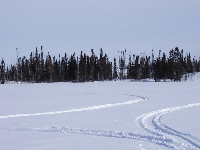 Direction Nord / North